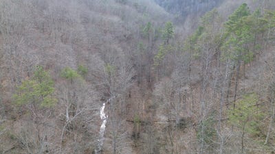 /international/us/237a-meatscaffold-rd-jackson-ky-110104252063/
