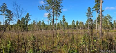 /international/us/millville-rd-lot-c-lawrenceville-va-110102918761/