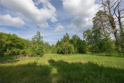 /international/us/4249-county-7-ne-remer-mn-110108664544/