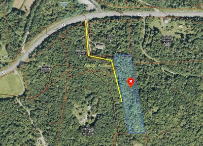 /international/us/honeycomb-hill-marlboro-vt-110099695544/
