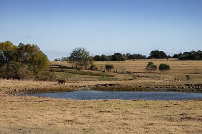 /international/us/3568-farm-to-market-50-brenham-tx-110103577385/