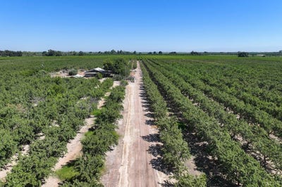 /international/us/7476-e-mt-whitney-avenue-laton-ca-110108031063/