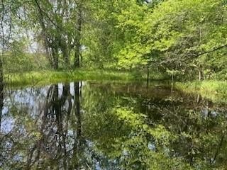 /international/us/00-fm-198-lake-creek-tx-110094524935/