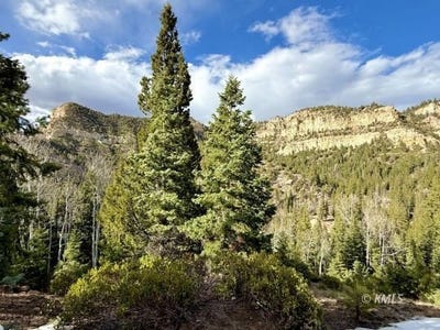 /international/us/lot-55-pinon-dr-alton-ut-110099455044/