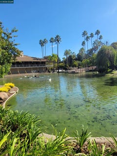 /international/us/310-n-civic-dr-walnut-creek-ca-110105640532/