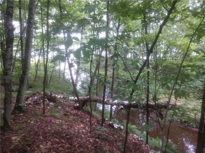 /international/us/n4385-red-oak-lane-stone-lake-wi-110099100531/