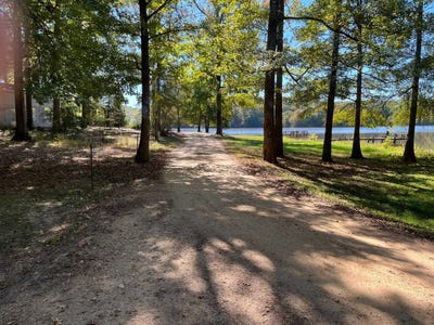 /international/us/lot-3-county-road-55-carrollton-ms-110104142209/