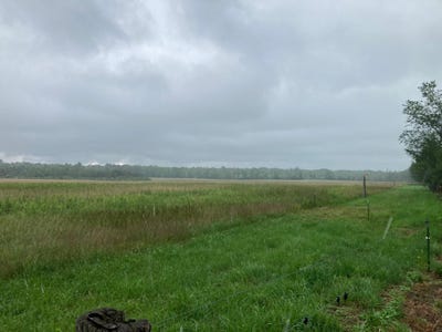 /international/us/125-87-acres-johns-lane-medford-wi-110101116688/?lang=zh-cn