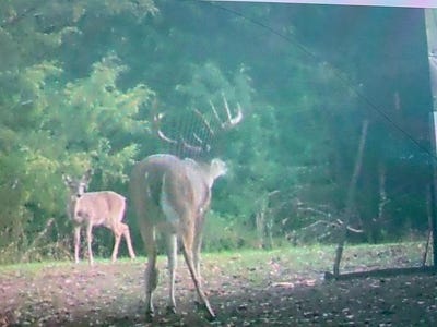 /international/us/190-private-road-5825a-groesbeck-tx-110107638639/