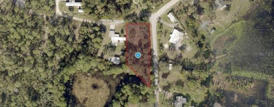 /international/us/morning-view-drive-paisley-fl-110098991511/