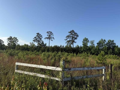 /international/us/5-acres-lot-2-old-pee-dee-rd-hemingway-sc-110101066340/