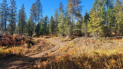 /international/us/43xx-lyons-hill-rd-springdale-wa-110108495526/
