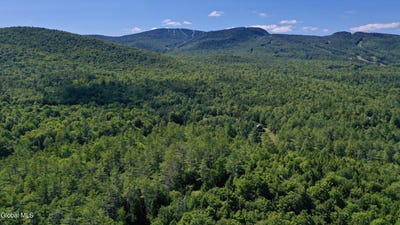 /international/us/49-the-woods-johnsburg-ny-110101167322/?lang=en