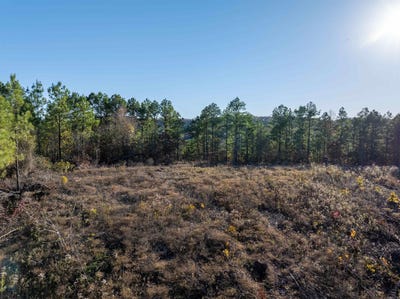 /international/us/polk-road-617-lot-9-mena-ar-110101195038/
