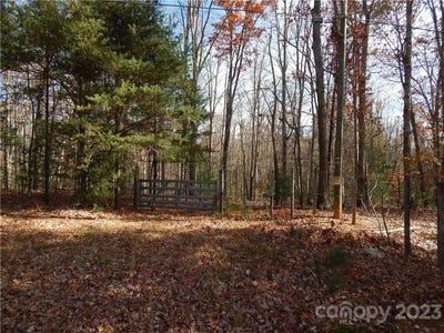 /international/us/000-thompson-cove-road-clyde-nc-110076840312/