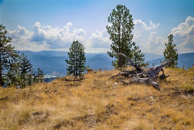 /international/us/222-eagle-view-road-kila-mt-110101349624/?lang=en