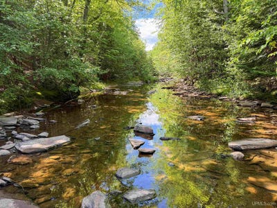 /international/us/hwy-m-64-lot-3-west-ontonagon-mi-110109042382/
