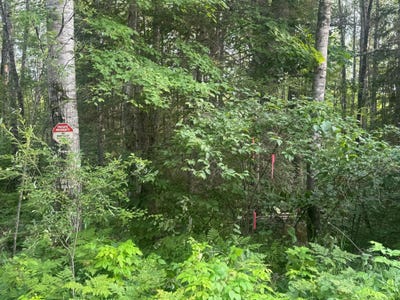/international/us/on-schallock-ln-crandon-wi-110101584703/