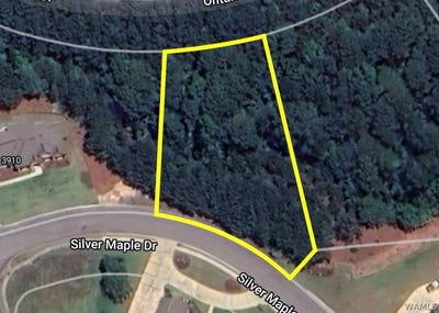 /international/us/3906-silver-maple-drive-northport-al-110120538003/