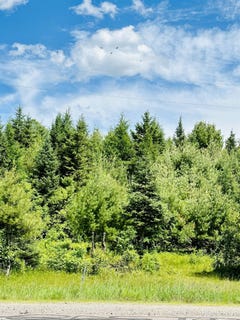 /international/us/m95-highway-republic-mi-110106618201/