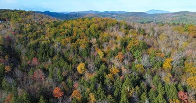 /international/us/1175-quarry-road-chester-vt-110101956143/