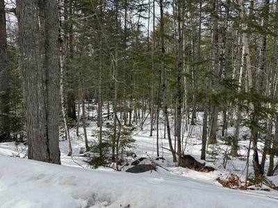 /international/us/2001-west-street-carrabassett-valley-me-110107401466/