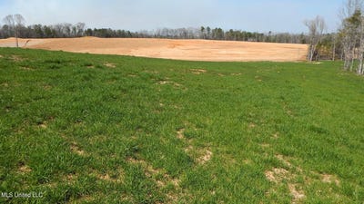 /international/us/686-graysport-crossing-road-lot-11-gore-springs-ms-110089772113/
