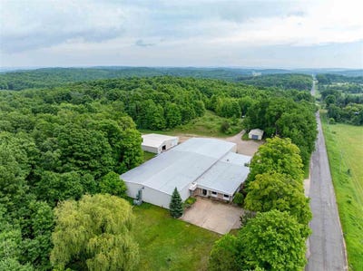 /international/us/3166-muckle-road-central-lake-mi-110109217429/