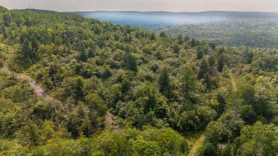 /international/us/bear-brook-subdivision-lot-8-sebec-me-110104587268/