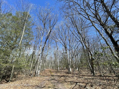 /international/us/134-maple-drive-cresco-pa-110105055236/