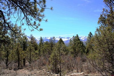 /international/us/old-relay-road-ridgway-co-110106693114/