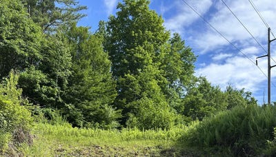 /international/us/canton-mountain-road-lot-020-jay-me-110109006064/