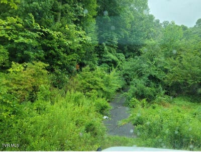 /international/us/103-sw-locust-avenue-norton-va-110101866874/