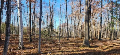 /international/us/8113-deer-ridge-ct-baileys-harbor-wi-110103433616/