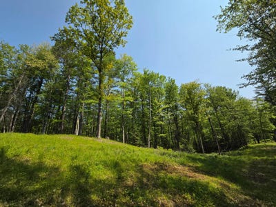/international/us/3827-harshaw-rd-harshaw-wi-110100391844/