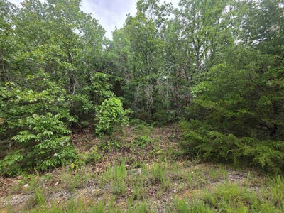 /international/us/l-10-b-4-arizonac-drive-cherokee-village-ar-110108397182/