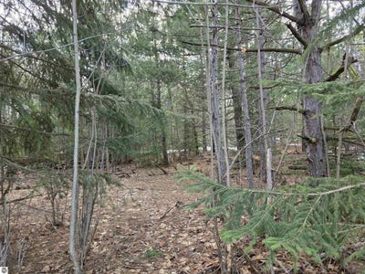 /international/us/0001-cedar-river-road-mancelona-mi-110107060701/