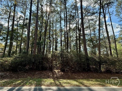 /international/us/n-columbia-rincon-ga-110106301468/