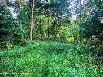 /international/us/20-pine-road-elizaville-ny-110103158267/