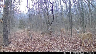/international/us/stockton-mo-110107981138/