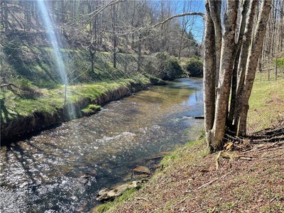 /international/us/6-stonegate-lane-creston-nc-110107455735/