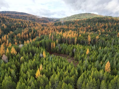 /international/us/tbd-schlegel-ranch-lot-11-rd-ione-wa-110100248353/?lang=en