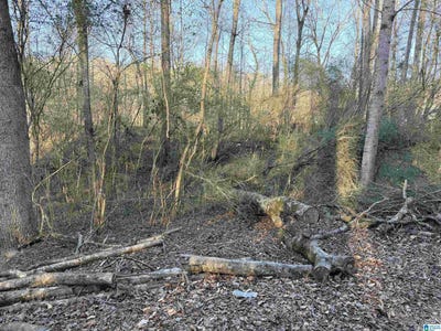 /international/us/001-scott-road-lot-0-cordova-al-110109697197/