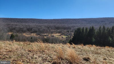 /international/us/584-old-wilson-road-swanton-md-110106328518/