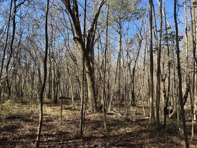 /international/us/0-highway-261-kingstree-sc-110104991794/