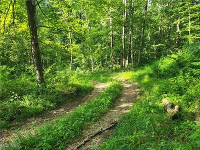 /international/us/5855-olney-run-road-mcconnelsville-oh-110101267478/