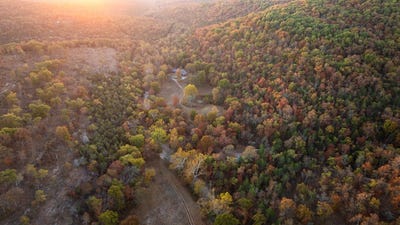 /international/us/381-cornell-rd-kirbyville-mo-110095394891/