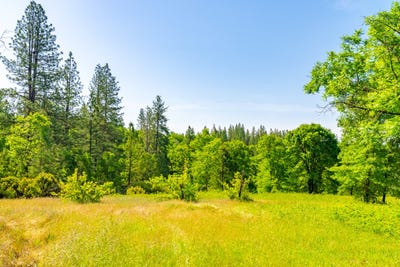 /international/us/6281-bear-creek-road-garden-valley-ca-110091457881/