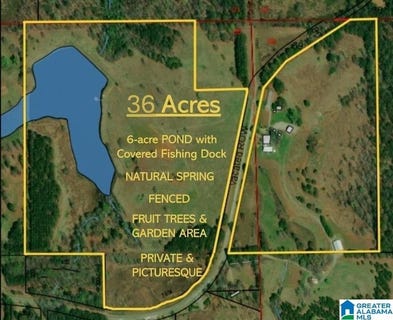 /international/us/36-acres-county-road-120-rockford-al-110100996758/?lang=en