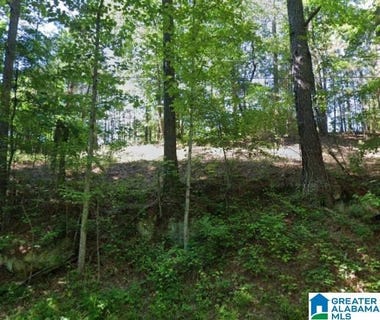 /international/us/kiowa-road-lot-25-pinson-al-110108765388/